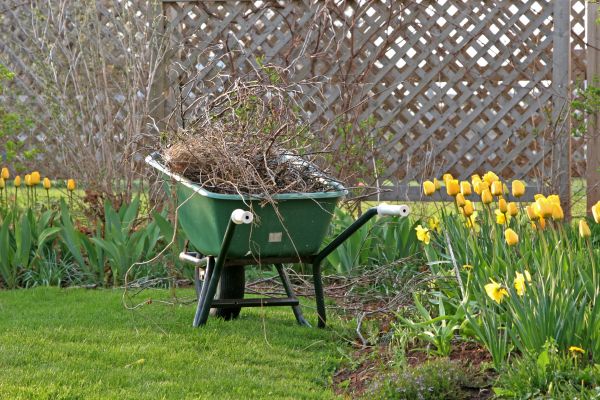 Flower Bed Cleanup Service in Zionsville