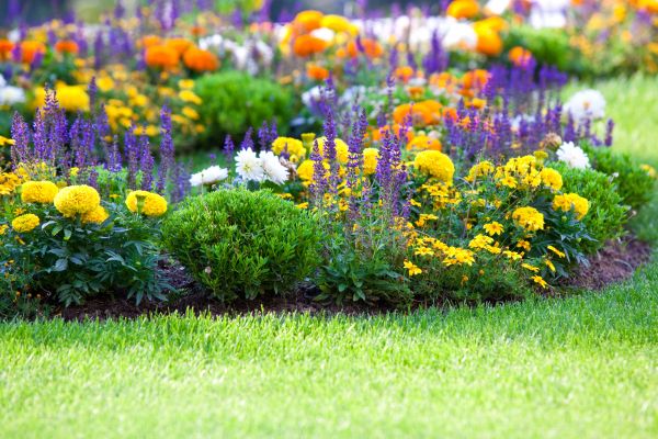 Flower Bed Maintenance in Zionsville