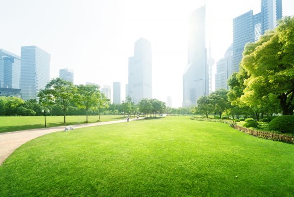 Commercial Landscape Maintenance in Zionsville