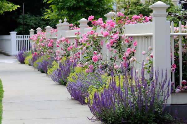 Garden Handyman Service in Zionsville