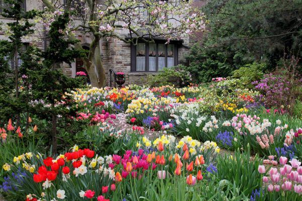 Garden Maintenance Service in Zionsville