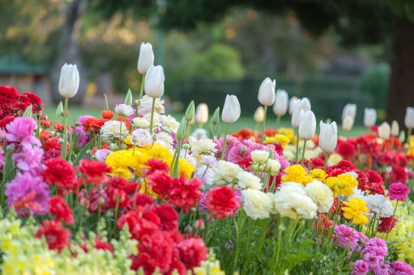 Gardening Service in Zionsville
