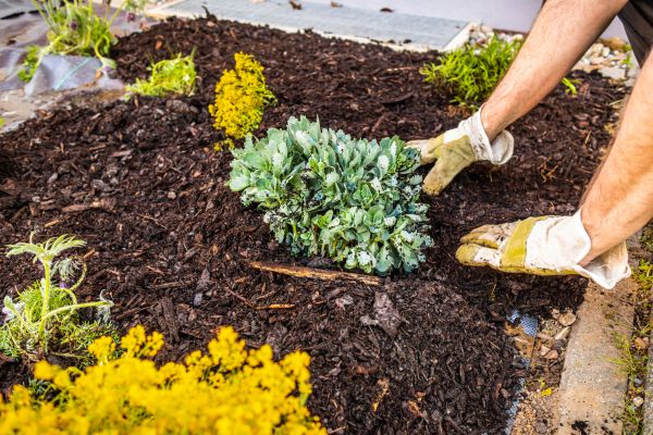 Weeding And Mulching in Zionsville