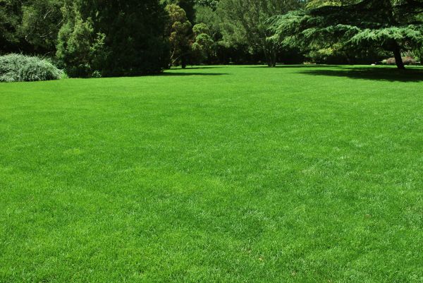 Lawn Landscaping in Zionsville