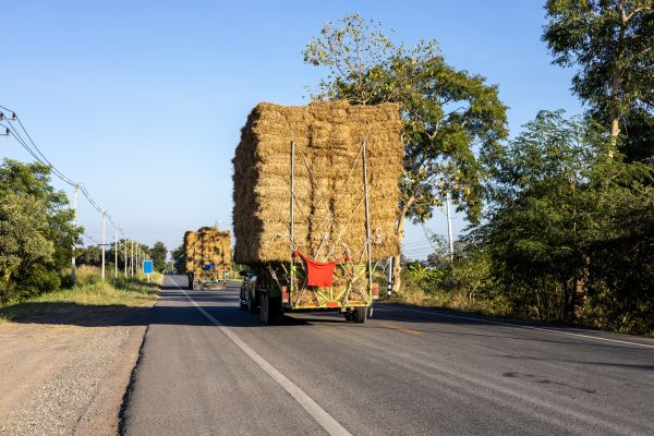 Pine Straw Delivery in Zionsville