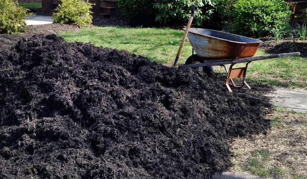 Black Mulch Delivery in Zionsville