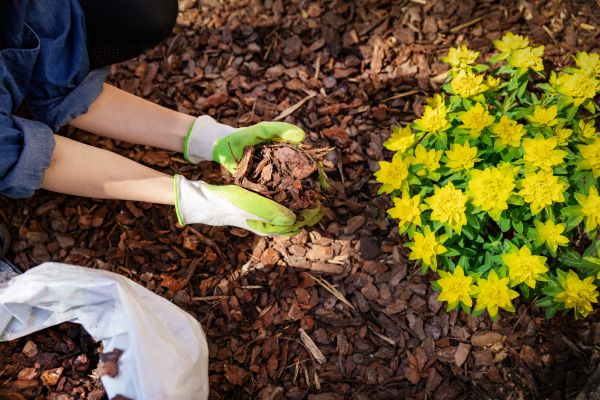 Garden Mulching in Zionsville