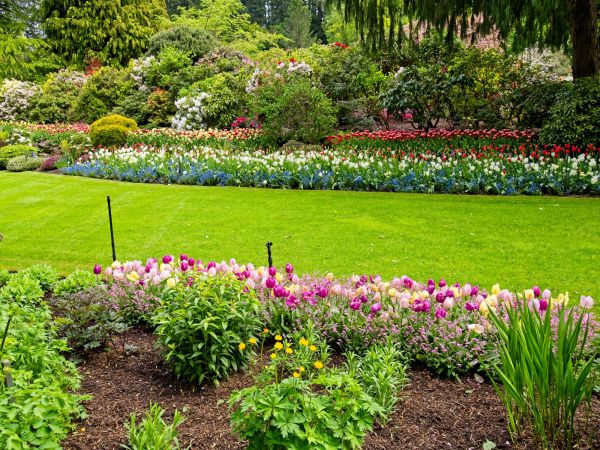 Residential Landscape Design in Zionsville