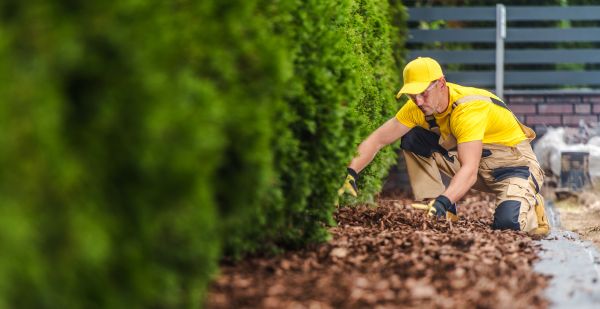 Cypress Mulch Installation in Zionsville