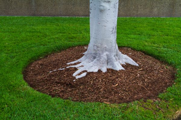 Brown Mulch Installation in Zionsville