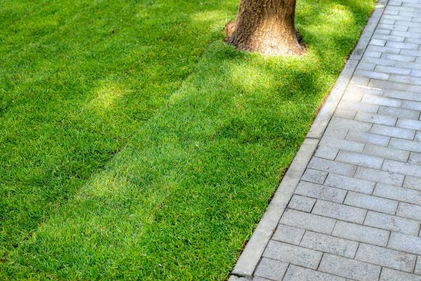 Border Stone Installation in Zionsville