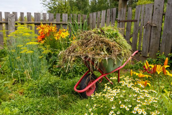 Garden Cleanup Service in Zionsville