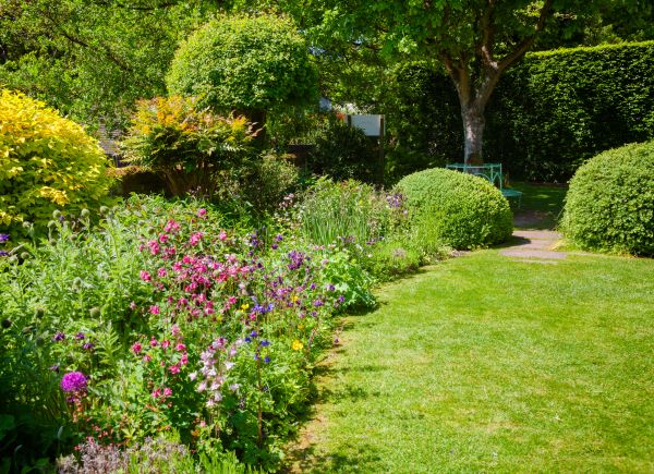 Yard Landscaping Service in Zionsville