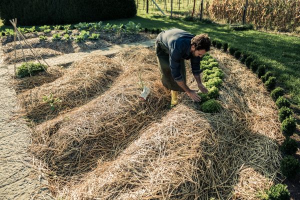Straw Mulching Service in Zionsville