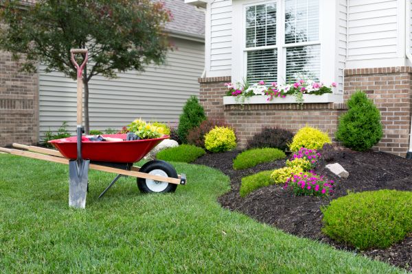 Tree And Shrub Planting in Zionsville