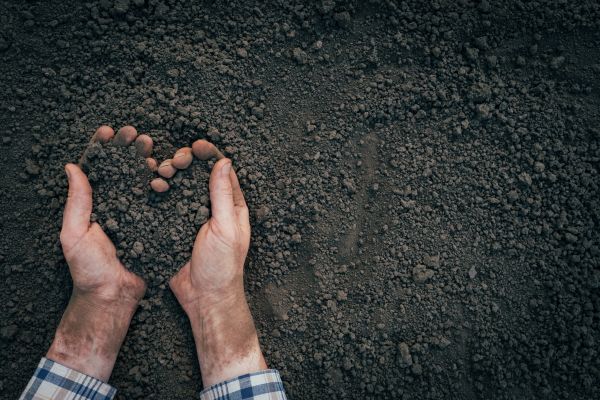 Soil Installation in Zionsville