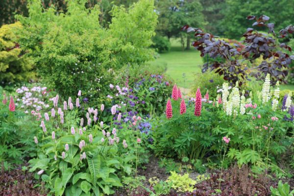 Flower Bed Planting in Zionsville