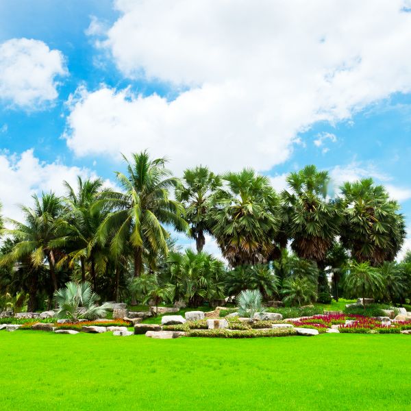 Tropical Landscaping in Zionsville