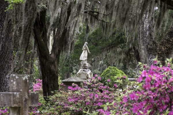 Cemetery Landscaping in Zionsville