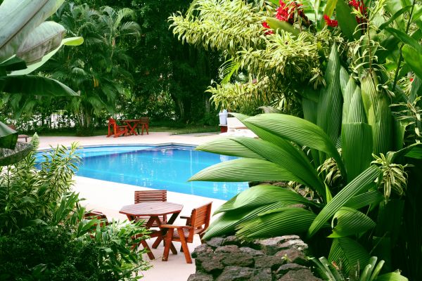 Tropical Garden Landscaping in Zionsville