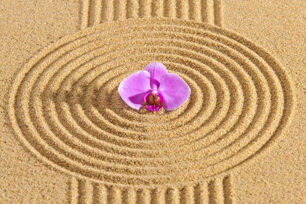 Sand Garden Landscaping in Zionsville
