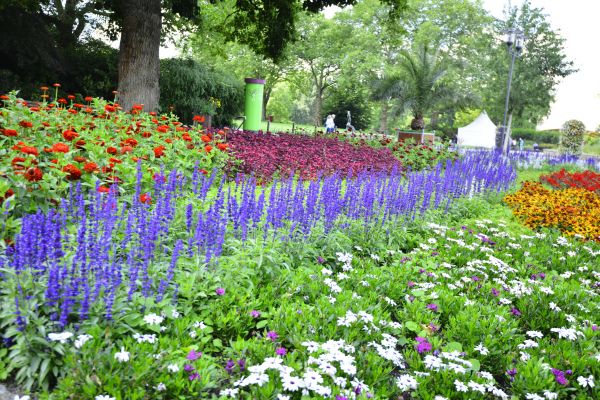 Perennials Planting in Zionsville