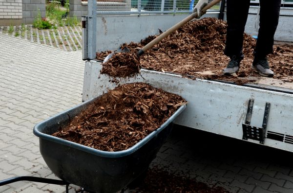 Cypress Mulch Delivery in Zionsville