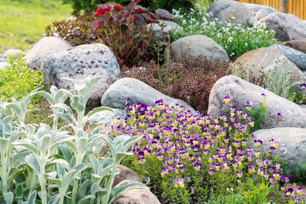 Rock Garden Installation Service