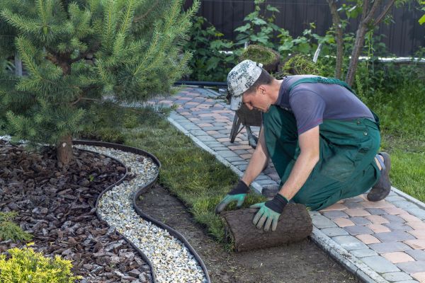 Landscaping Modification in Zionsville