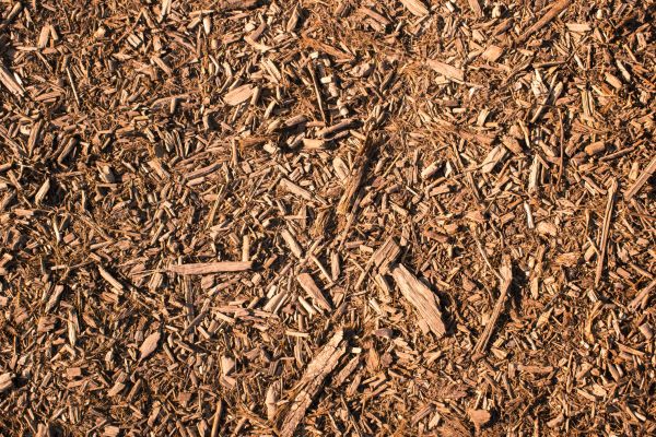 Wood Chips Removal in Zionsville