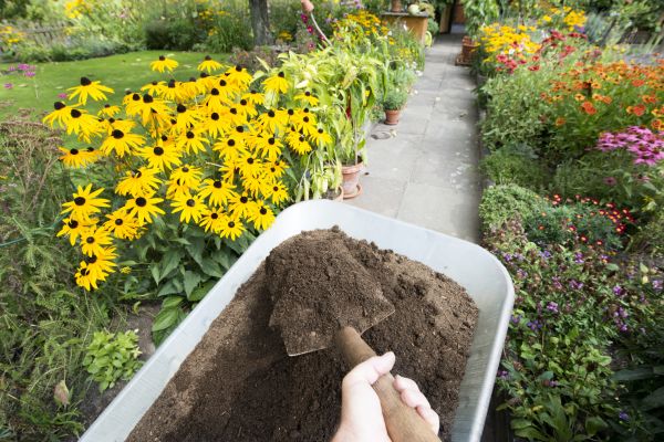 Topsoil Replacement in Zionsville