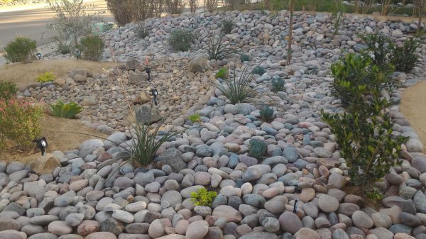 Yard Xeriscaping in Zionsville