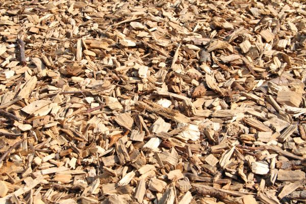 Wood Mulch Delivery in Zionsville