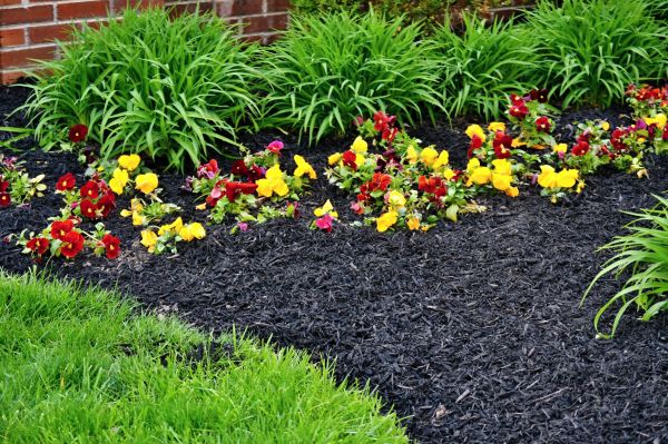 Mulch Renovation