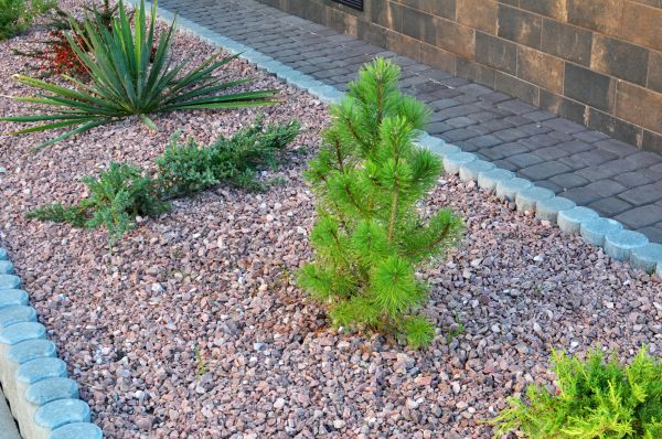 Landscape Edging Service