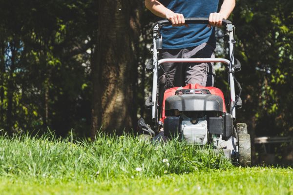 Garden Trimming Service in Zionsville