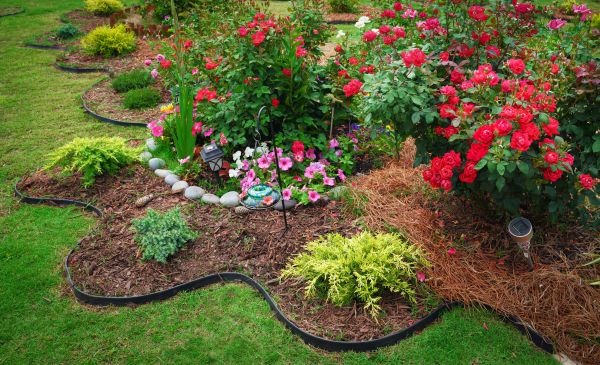 Floral Landscaping in Zionsville