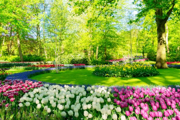 Flower Landscaping in Zionsville