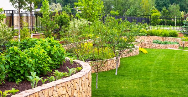 Yard Makeover Service in Zionsville