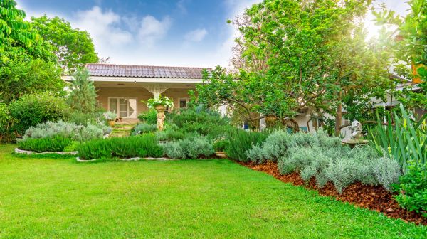 Greenery Planting in Zionsville