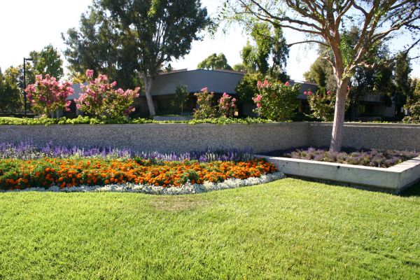 Commercial Landscape Service in Zionsville