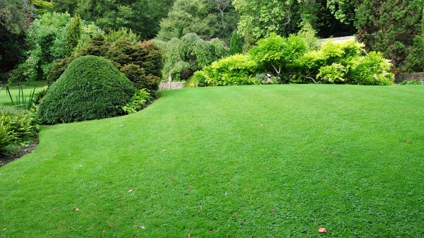 Commercial Landscape Design in Zionsville