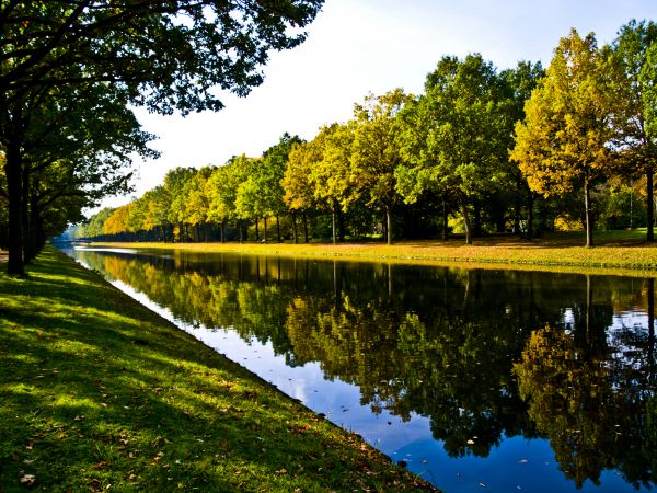 Bank Landscaping in Zionsville