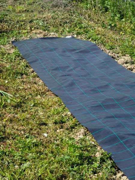 Weed Suppressant Installation in Zionsville