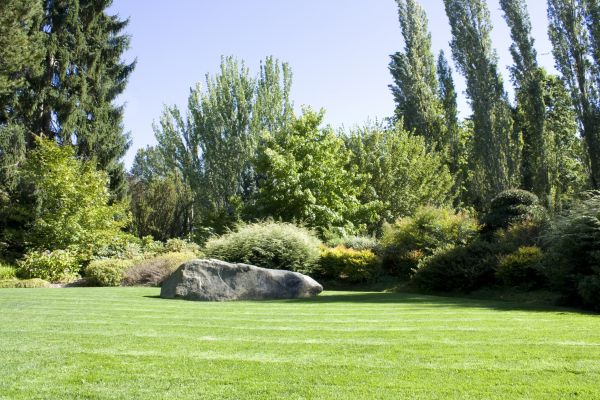 Yard Enlargement in Zionsville