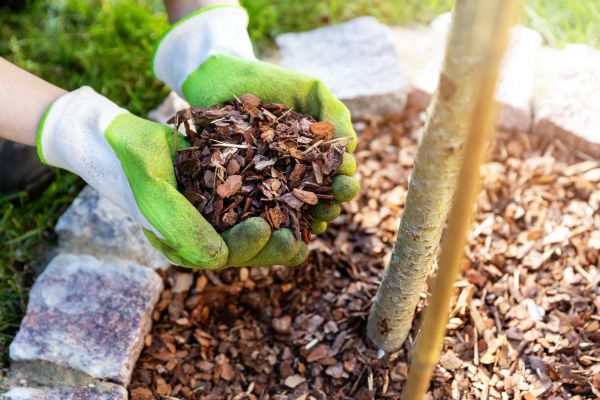 Tree Bark Delivery in Zionsville