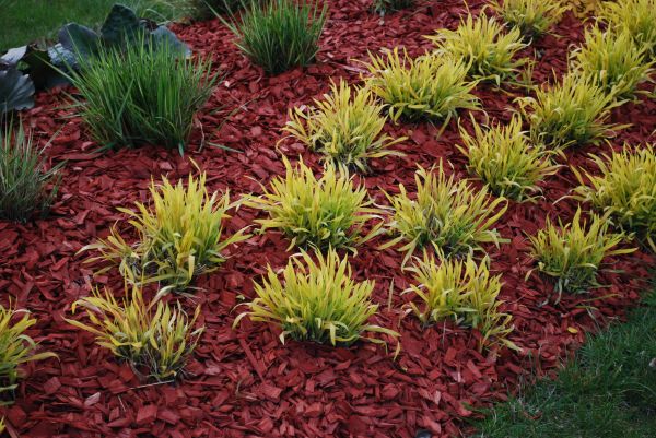 Red Mulch Installation in Zionsville