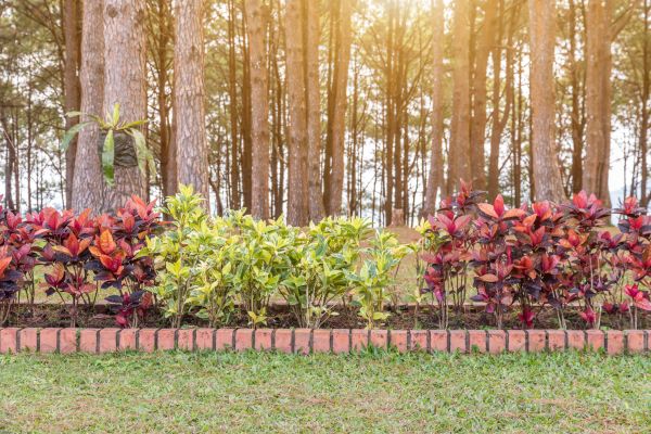 Small Garden Landscaping in Zionsville