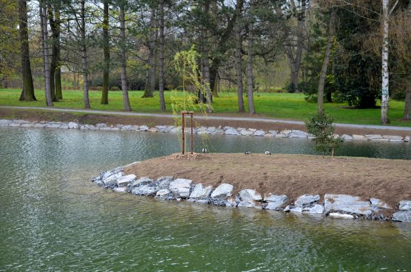 Pond Landscaping Service in Zionsville