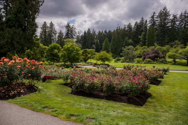 Flower Garden Landscaping in Zionsville